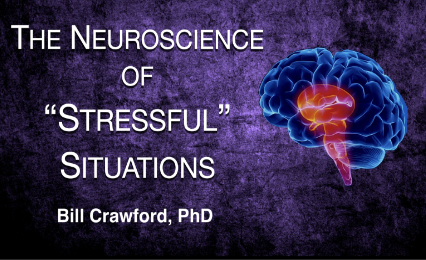 The Neuroscience of Stressful Situations